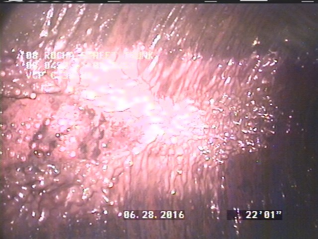 Deposits Attached Grease, 5 %of cross sectional area, from 08 to 04 o'clock, , within 8 inches of joint: NO