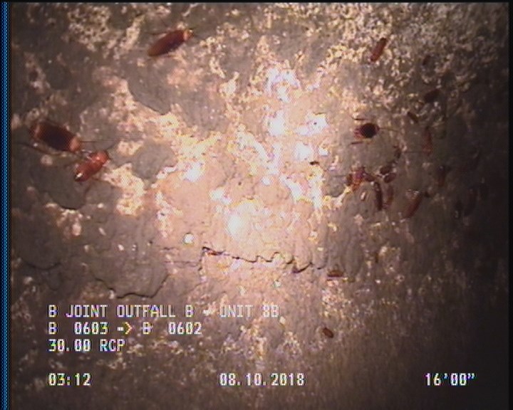 Surface Spalling, from 09 to 03 o'clock, within 8 inches of joint: YES, Start