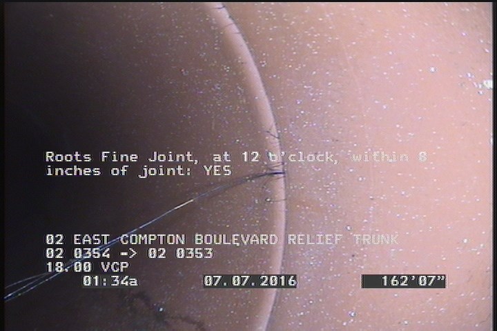 Roots Fine Joint, at 12 o'clock, within 8 inches of joint: YES