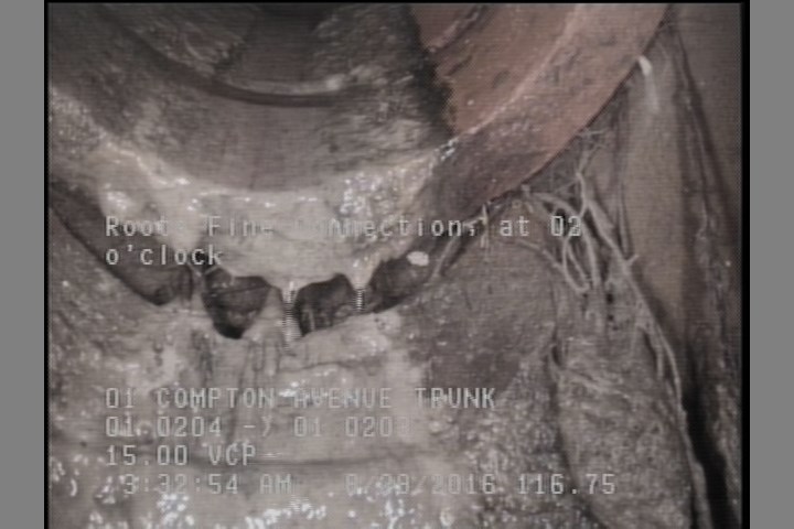 Roots Fine Connection, at 02 o'clock