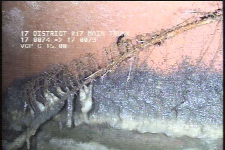 Roots Tap Joint, from 07 to 05 o'clock, 5 %, within 8 inches of joint: YESR