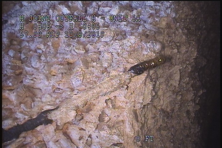 General Photograph - EXPOSED REINFORCEMENT