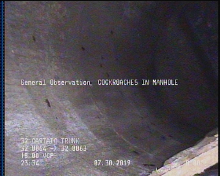 General Observation - COCKROACHES IN MANHOLE