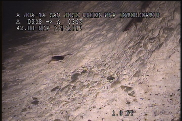 Surface Aggregate Projecting, from 08 to 04 o'clock, within 8 inches of joint: YES