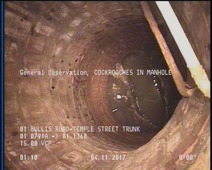 General Observation - COCKROACHES IN MANHOLE