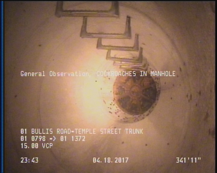 General Observation - COCKROACHES IN MANHOLE