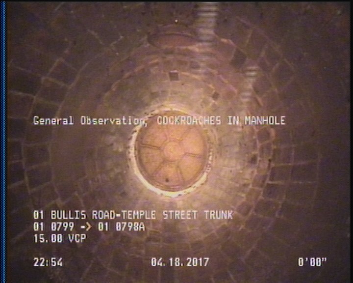 General Observation - COCKROACHES IN MANHOLE