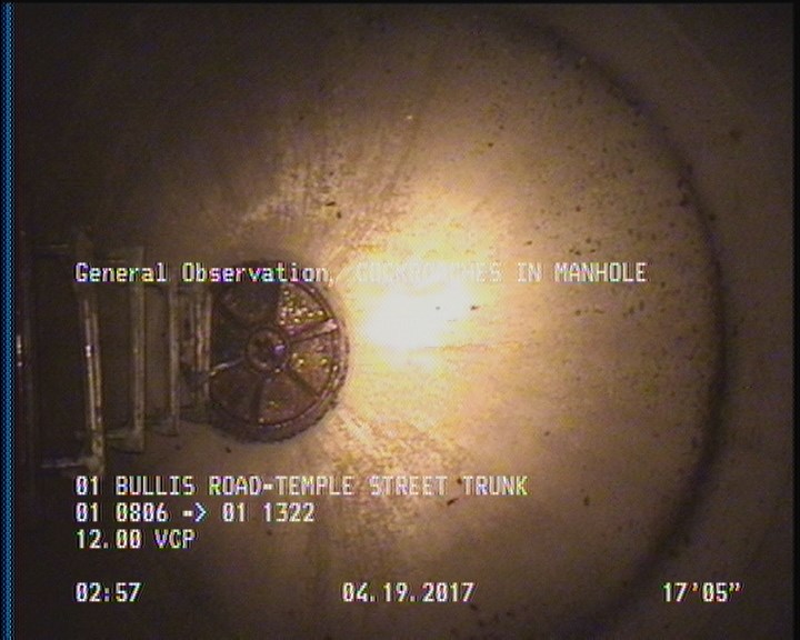 General Observation - COCKROACHES IN MANHOLE