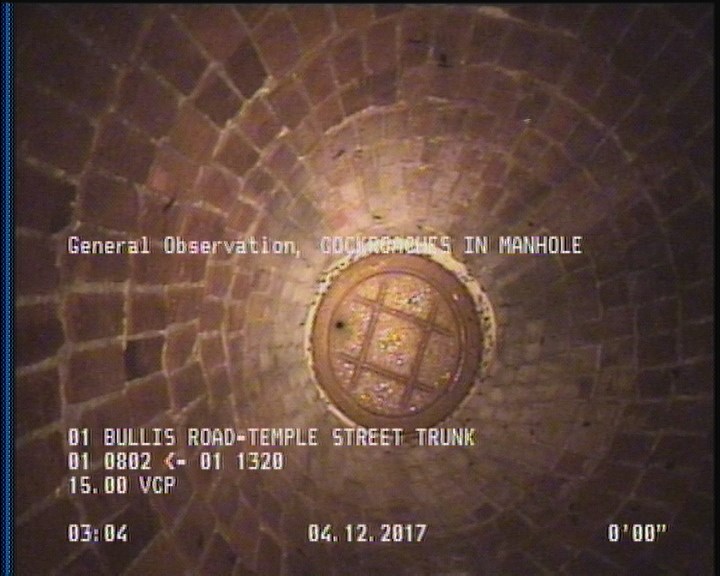 General Observation - COCKROACHES IN MANHOLE