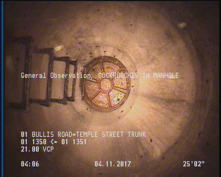General Observation - COCKROACHES IN MANHOLE
