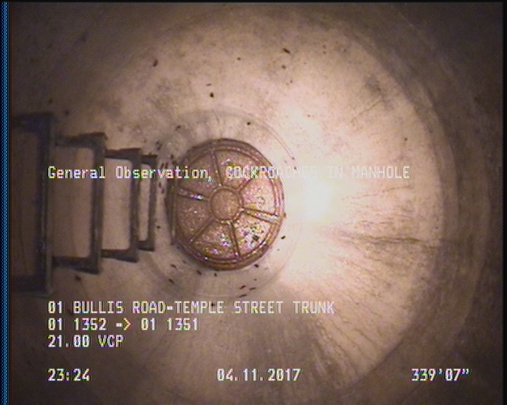 General Observation - COCKROACHES IN MANHOLE