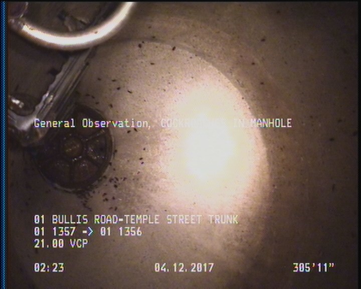 General Observation - COCKROACHES IN MANHOLE