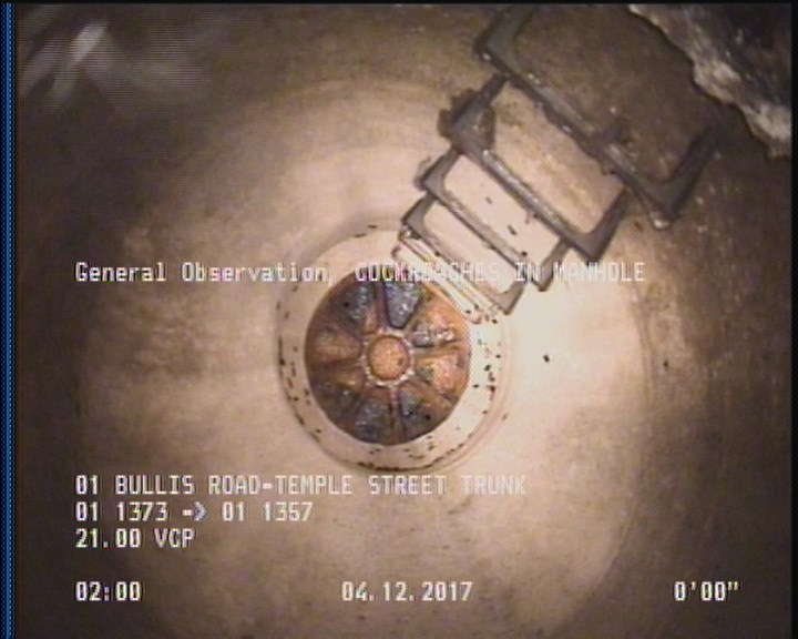 General Observation - COCKROACHES IN MANHOLE