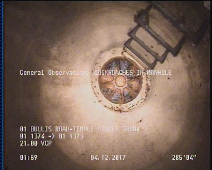 General Observation - COCKROACHES IN MANHOLE