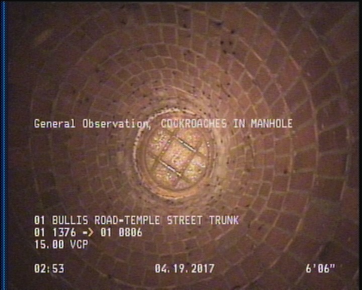 General Observation - COCKROACHES IN MANHOLE