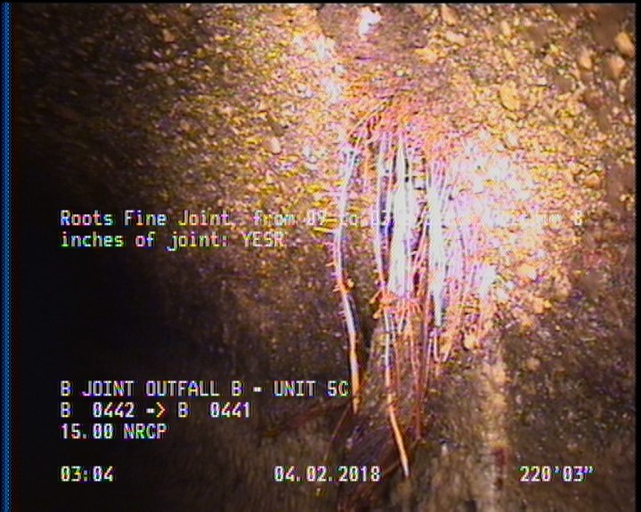 Roots Fine Joint, from 09 to 03 o'clock, within 8 inches of joint: YESR