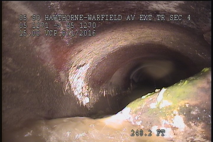 General Observation - DYE