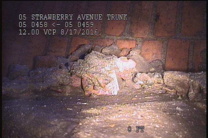 General Observation - DEBRIS ON THE SHELVES