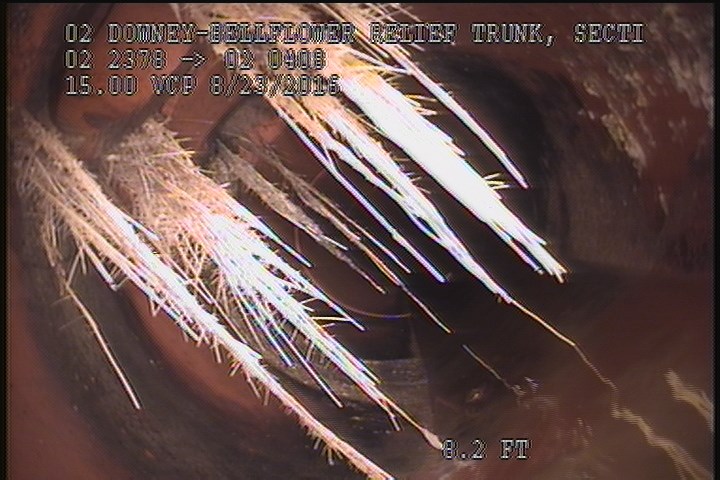 Roots Medium Lateral, from 09 to 03 o'clock, 20 %, within 8 inches of joint: YES