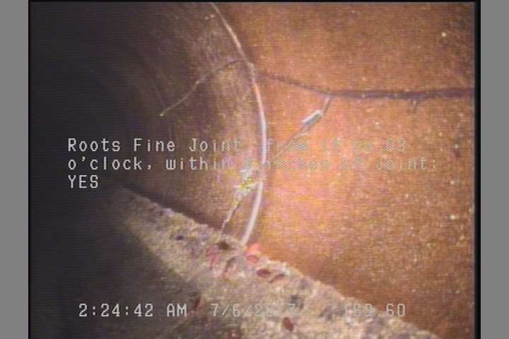 Roots Fine Joint, from 11 to 03 o'clock, within 8 inches of joint: YES