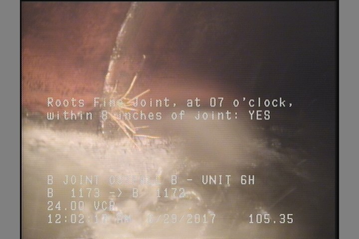 Roots Fine Joint, at 07 o'clock, within 8 inches of joint: YES