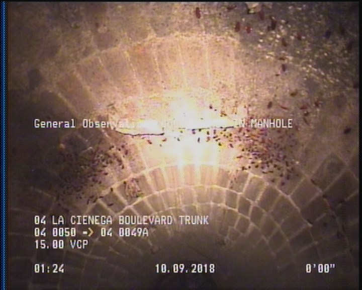 General Observation - COCKROACHES IN MANHOLE