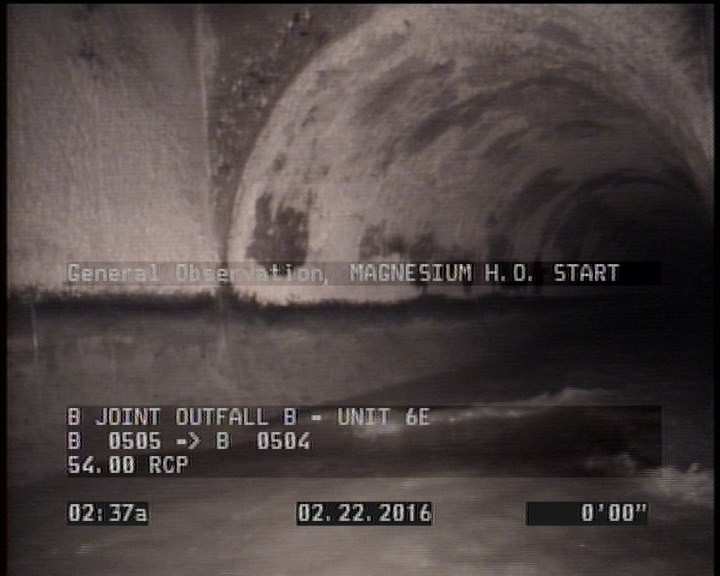 General Observation - MAGNESIUM H.O. START