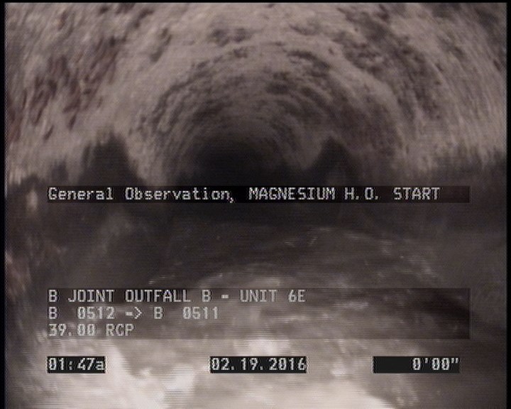 General Observation - MAGNESIUM H.O. START