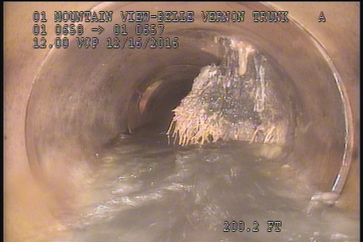 Roots Medium Lateral, from 01 to 04 o'clock, 30 %, within 8 inches of joint: YES