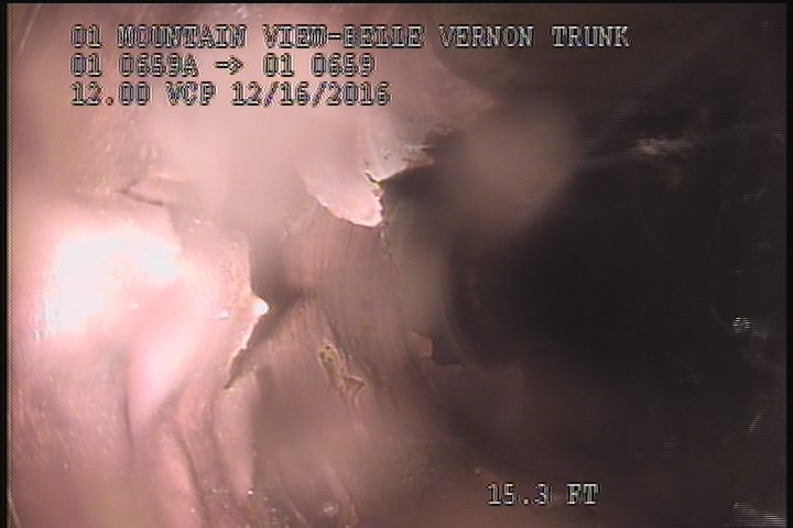 General Observation - PEELING COATING