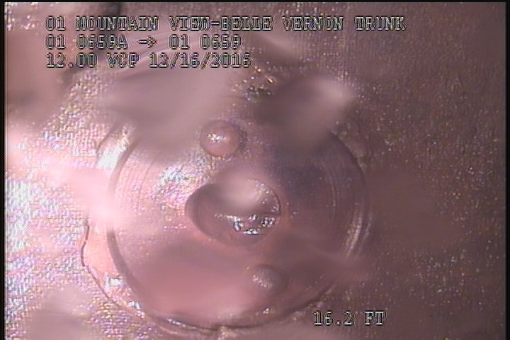 General Observation - UNUSAL AREA PEELING COATING