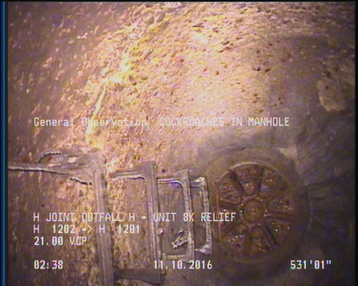 General Observation - COCKROACHES IN MANHOLE