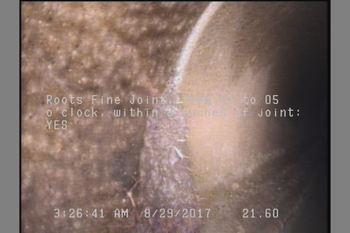 Roots Fine Joint, from 07 to 05 o'clock, within 8 inches of joint: YES