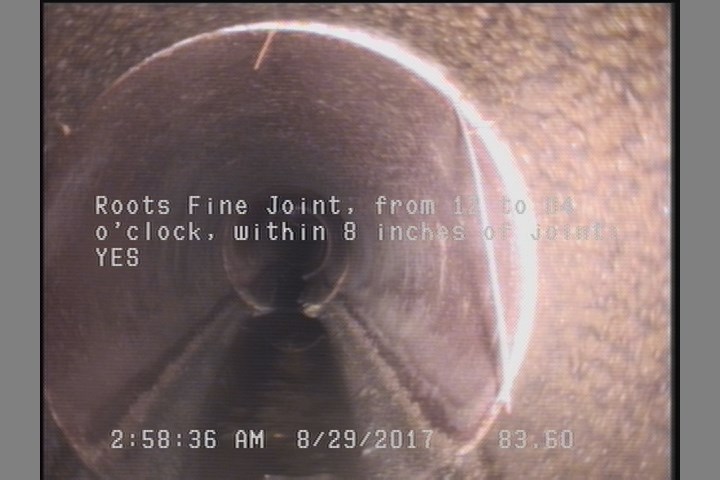 Roots Fine Joint, from 12 to 04 o'clock, within 8 inches of joint: YES