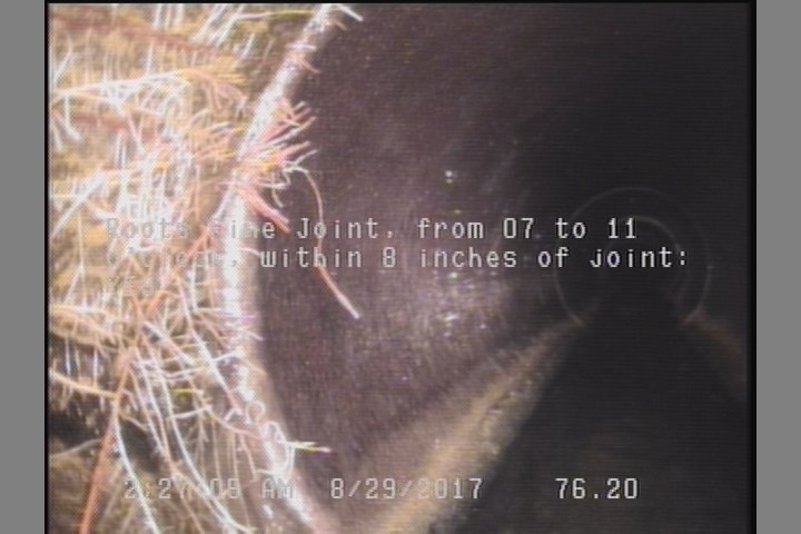 Roots Fine Joint, from 07 to 11 o'clock, within 8 inches of joint: YES