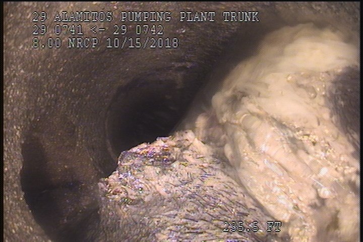 General Photograph - 50% ROOTS