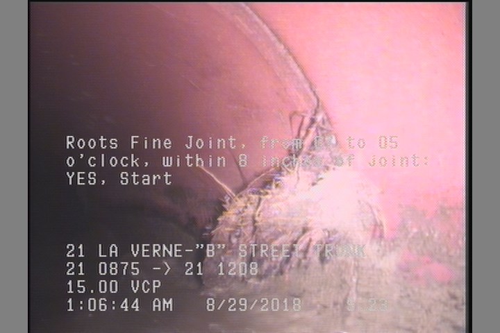 Roots Fine Joint, from 07 to 05 o'clock, within 8 inches of joint: YES, Start
