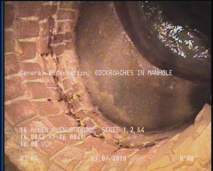 General Observation - COCKROACHES IN MANHOLE
