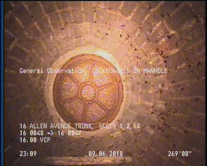 General Observation - COCKROACHES IN MANHOLE