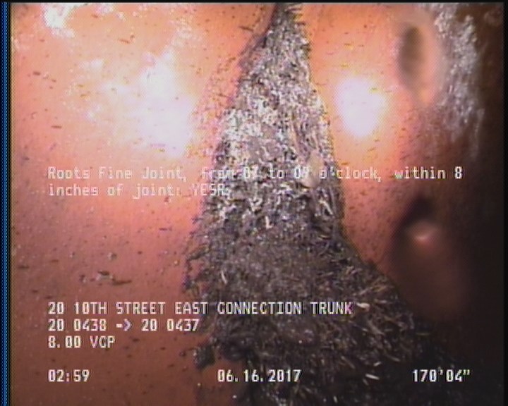 Roots Fine Joint, from 07 to 09 o'clock, within 8 inches of joint: YESR
