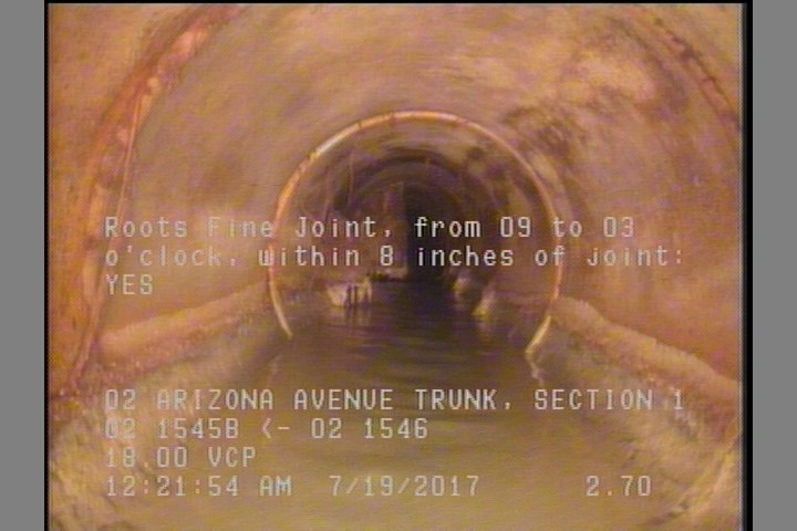 Roots Fine Joint, from 09 to 03 o'clock, within 8 inches of joint: YES