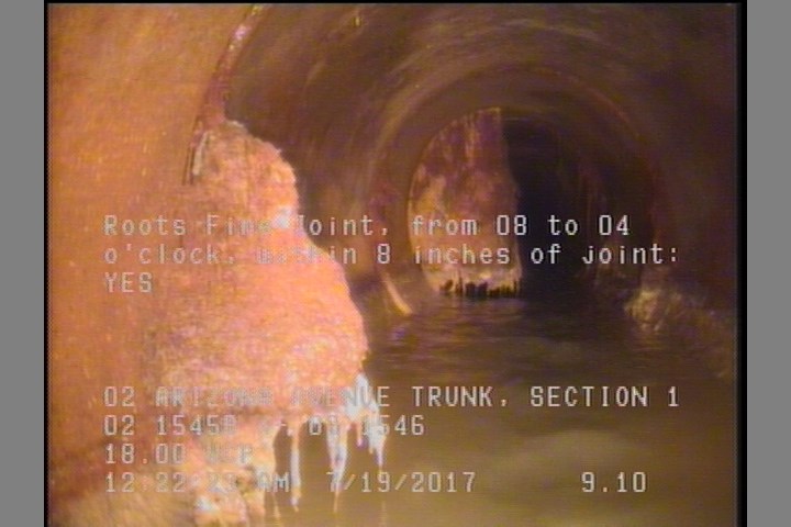 Roots Fine Joint, from 08 to 04 o'clock, within 8 inches of joint: YES