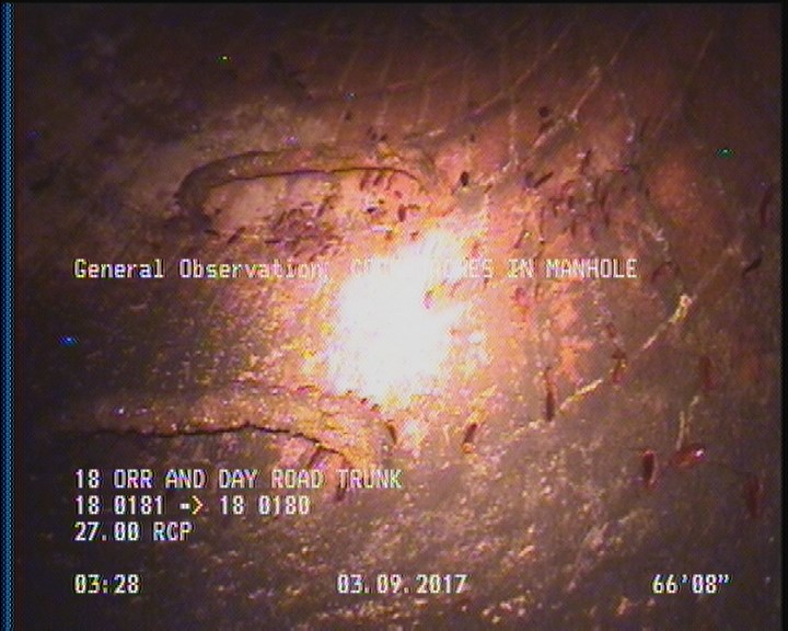 General Observation - COCKROACHES IN MANHOLE