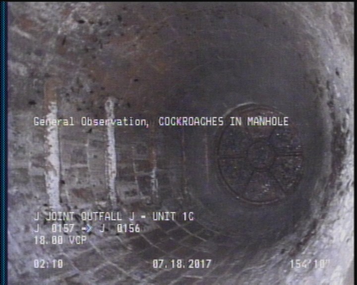 General Observation - COCKROACHES IN MANHOLE
