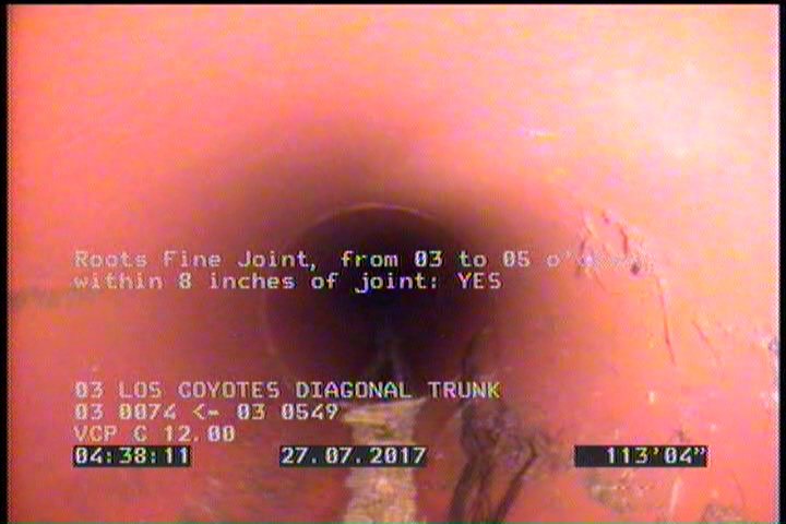 Roots Fine Joint, from 03 to 05 o'clock, within 8 inches of joint: YES