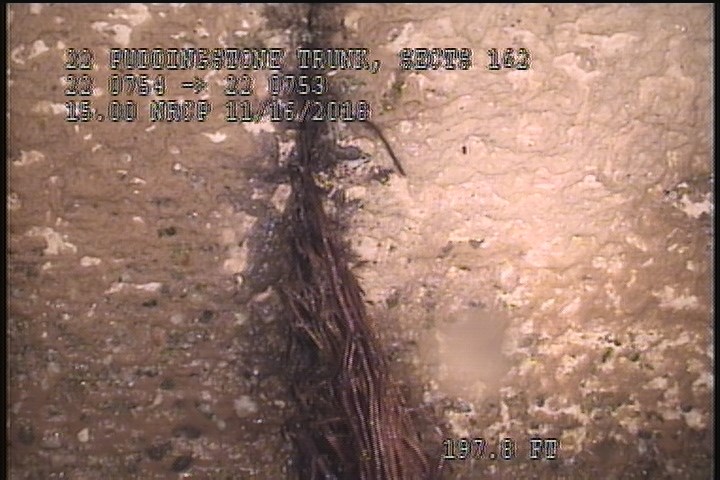 Roots Fine Joint, at 08 o'clock, within 8 inches of joint: YESR - 5%