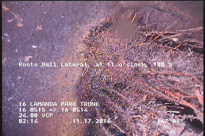 Roots Medium Connection, from 09 to 03 o'clock, 50 %, within 8 inches of joint: YES