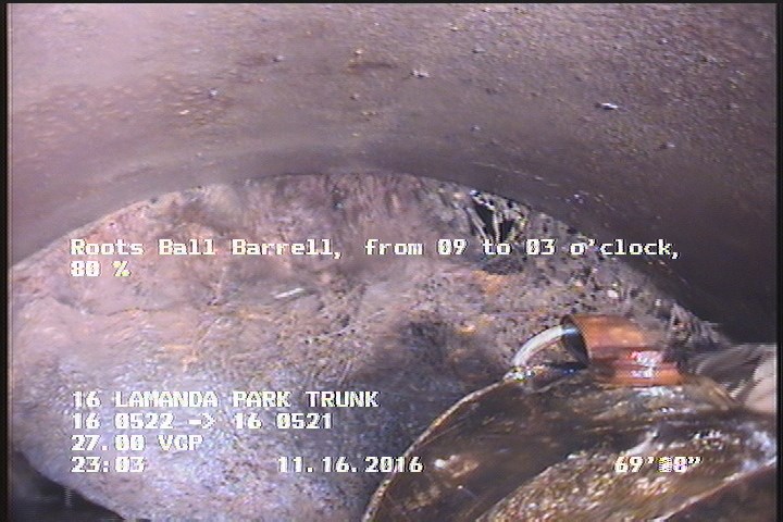 Roots Ball Barrell, from 09 to 03 o'clock, 40 %