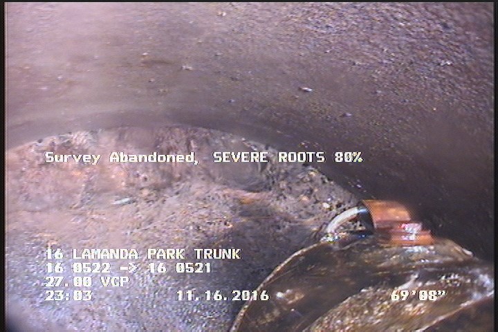 Survey Abandoned - SEVERE ROOTS 80%