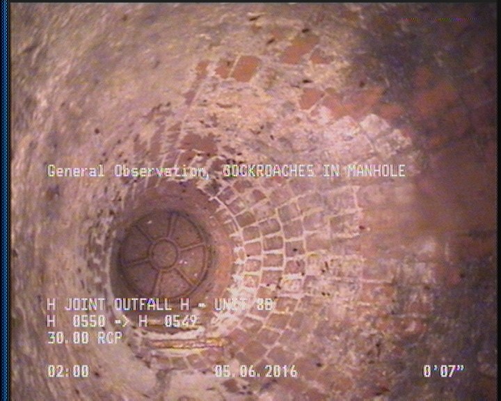 General Observation - COCKROACHES IN MANHOLE